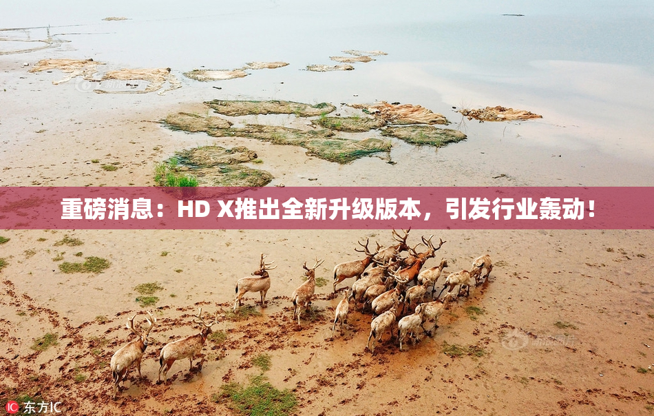 重磅消息：HD X推出全新升级版本，引发行业轰动！