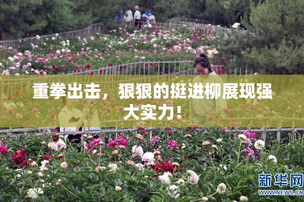 重拳出击，狠狠的挺进柳展现强大实力！