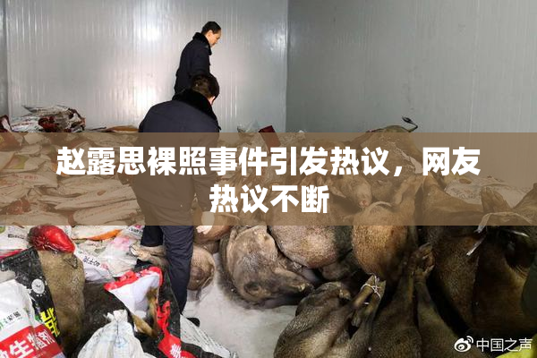 赵露思裸照事件引发热议，网友热议不断