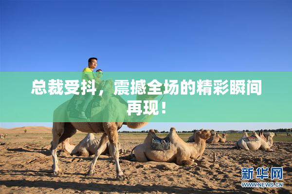 总裁受抖，震撼全场的精彩瞬间再现！