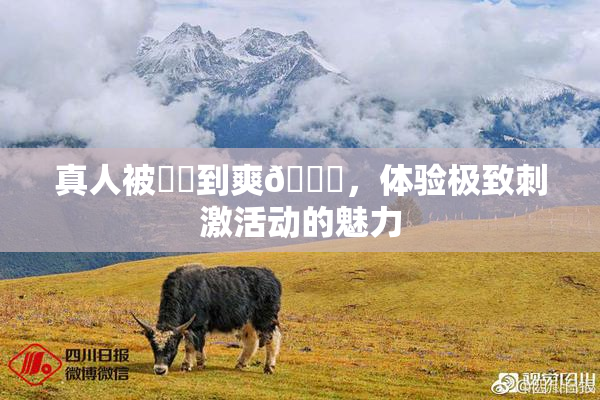真人被❌‌到爽🔞，体验极致刺激活动的魅力