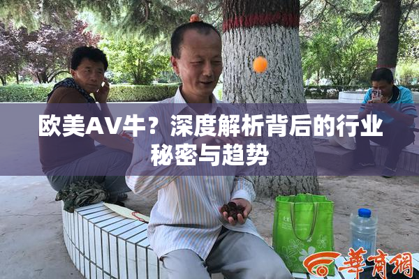 欧美AV牛？深度解析背后的行业秘密与趋势