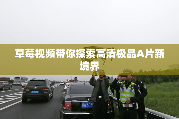 草莓视频带你探索高清极品A片新境界