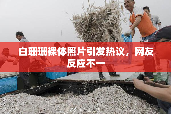 白珊珊裸体照片引发热议，网友反应不一