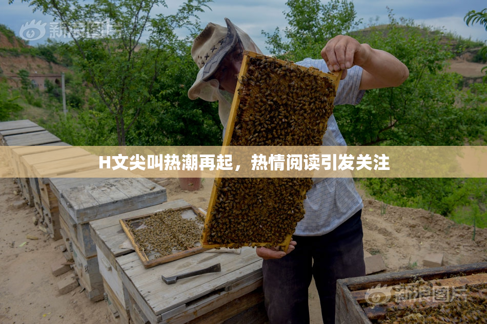 H文尖叫热潮再起，热情阅读引发关注