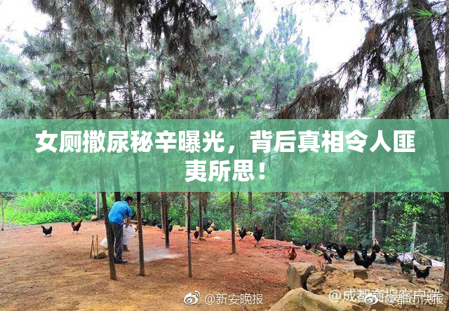 女厕撒尿秘辛曝光，背后真相令人匪夷所思！