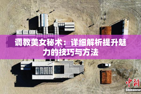 调教美女秘术：详细解析提升魅力的技巧与方法