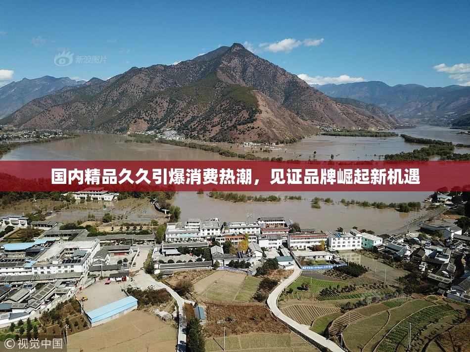 国内精品久久引爆消费热潮，见证品牌崛起新机遇