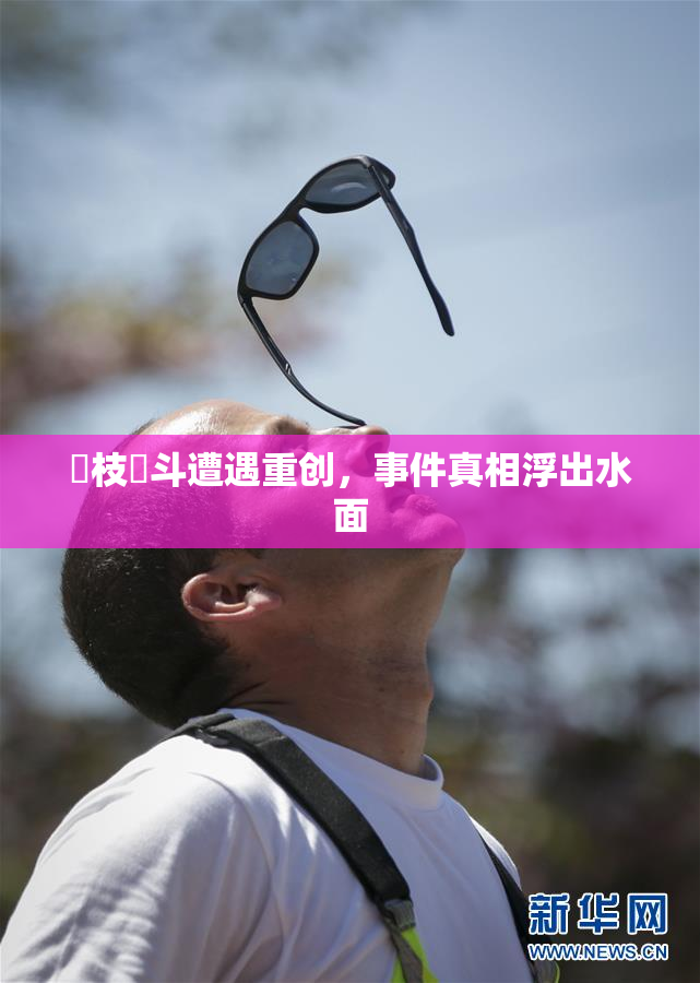 狛枝凪斗遭遇重创，事件真相浮出水面