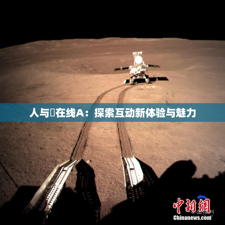 人与嘼在线A：探索互动新体验与魅力