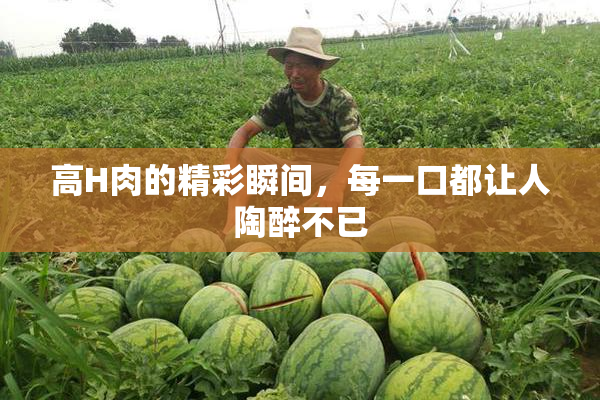 高H肉的精彩瞬间，每一口都让人陶醉不已
