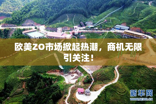 欧美ZO市场掀起热潮，商机无限引关注！