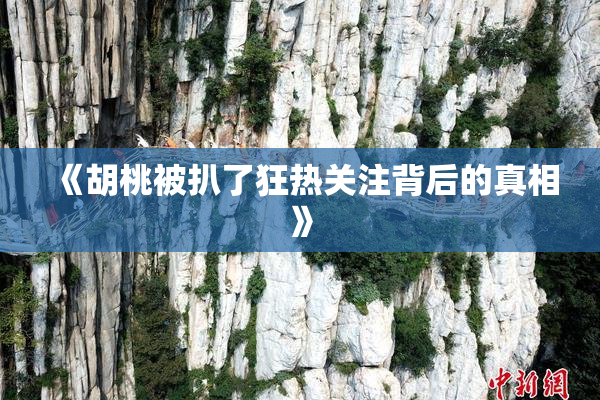 《胡桃被扒了狂热关注背后的真相》