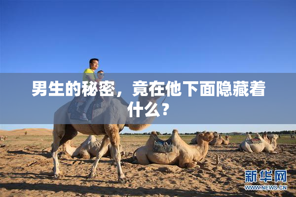 男生的秘密，竟在他下面隐藏着什么？