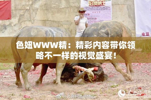 色妞WWW精：精彩内容带你领略不一样的视觉盛宴！