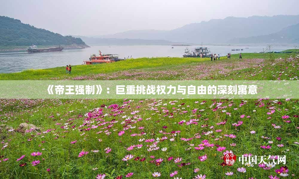 《帝王强制》：巨重挑战权力与自由的深刻寓意