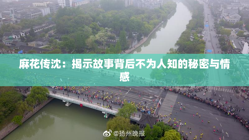 麻花传沈：揭示故事背后不为人知的秘密与情感