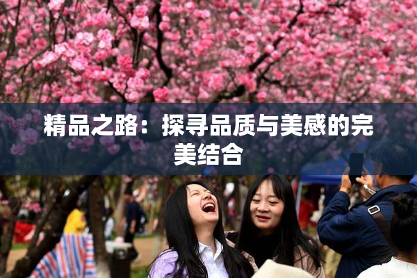 精品之路：探寻品质与美感的完美结合