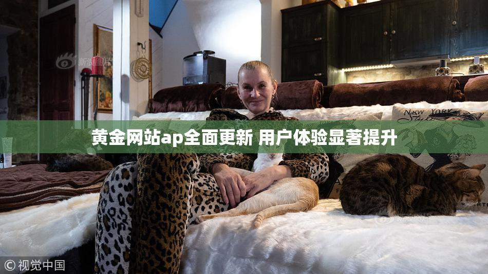 黄金网站ap全面更新 用户体验显著提升