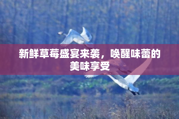 新鲜草莓盛宴来袭，唤醒味蕾的美味享受