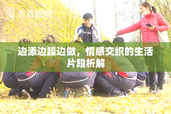 边添边躁边做，情感交织的生活片段析解