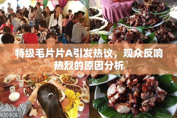 特级毛片片A引发热议，观众反响热烈的原因分析