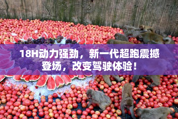 18H动力强劲，新一代超跑震撼登场，改变驾驶体验！