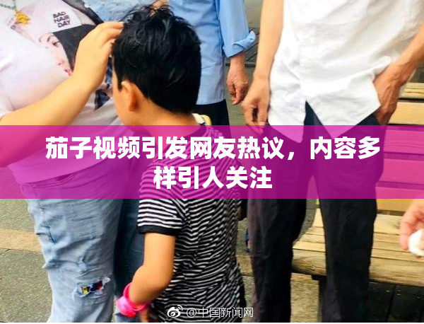 茄子视频引发网友热议，内容多样引人关注