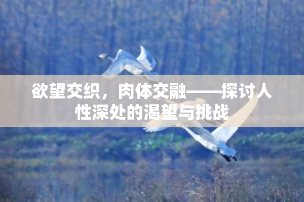 欲望交织，肉体交融——探讨人性深处的渴望与挑战