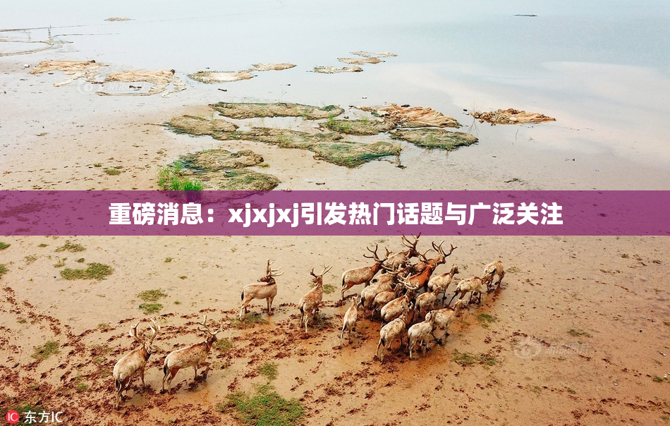 重磅消息：xjxjxj引发热门话题与广泛关注