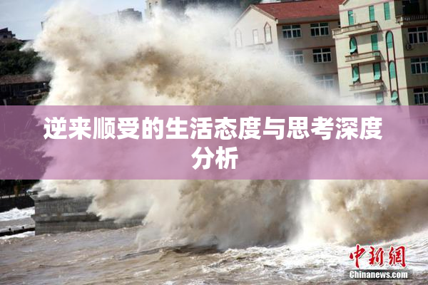 逆来顺受的生活态度与思考深度分析