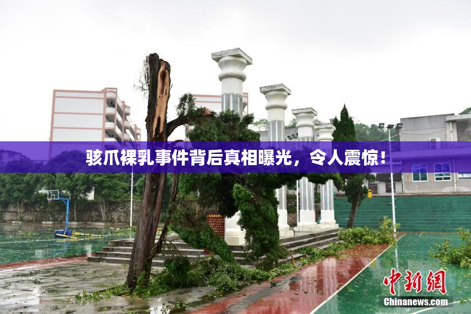 骇爪裸乳事件背后真相曝光，令人震惊！