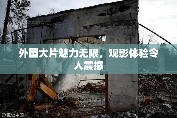 外国大片魅力无限，观影体验令人震撼