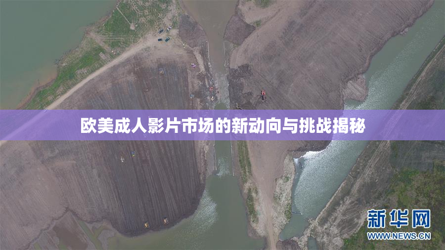 欧美成人影片市场的新动向与挑战揭秘