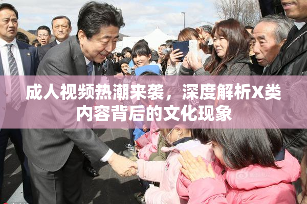 成人视频热潮来袭，深度解析X类内容背后的文化现象