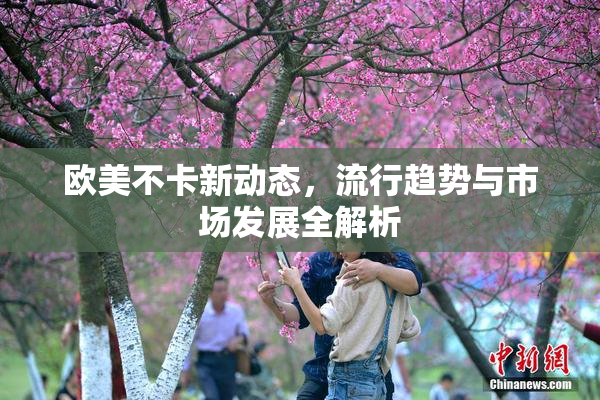 欧美不卡新动态，流行趋势与市场发展全解析