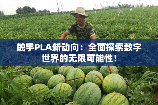 触手PLA新动向：全面探索数字世界的无限可能性！