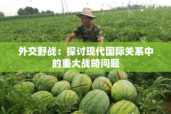 外交野战：探讨现代国际关系中的重大战略问题