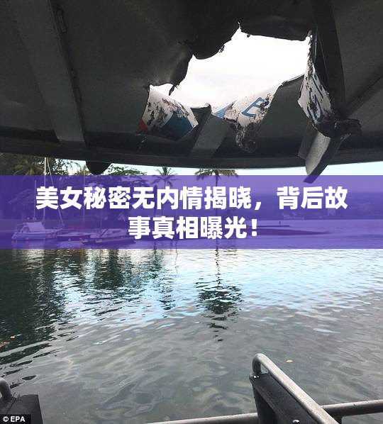 美女秘密无内情揭晓，背后故事真相曝光！
