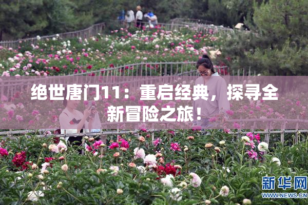绝世唐门11：重启经典，探寻全新冒险之旅！