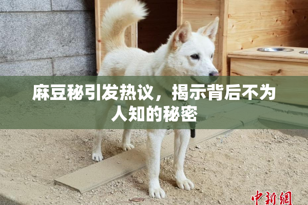 麻豆秘引发热议，揭示背后不为人知的秘密