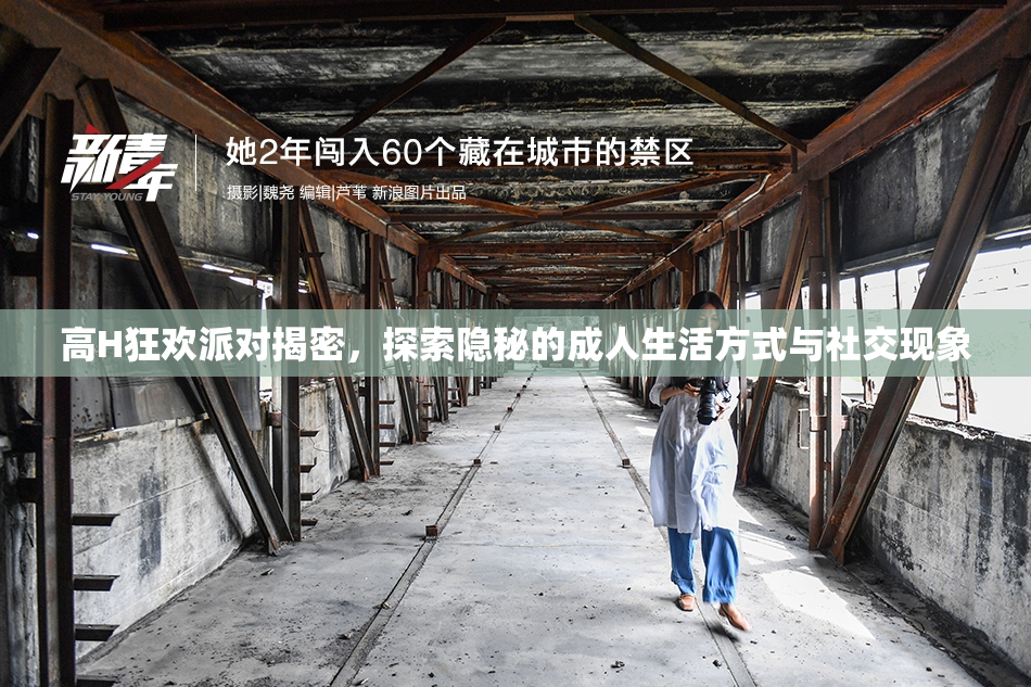 高H狂欢派对揭密，探索隐秘的成人生活方式与社交现象