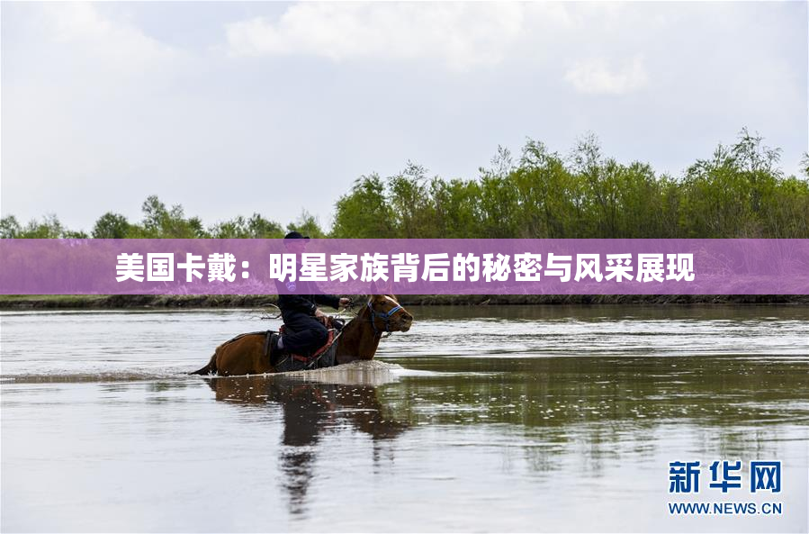 美国卡戴：明星家族背后的秘密与风采展现