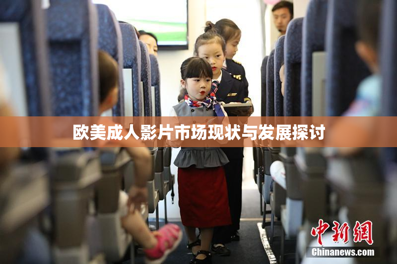 欧美成人影片市场现状与发展探讨