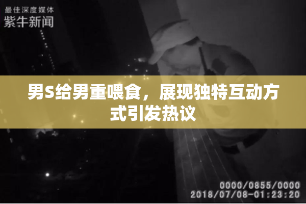 男S给男重喂食，展现独特互动方式引发热议