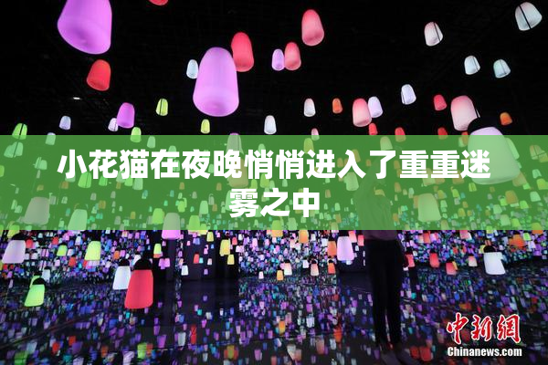 小花猫在夜晚悄悄进入了重重迷雾之中