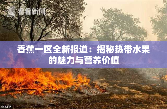 香蕉一区全新报道：揭秘热带水果的魅力与营养价值
