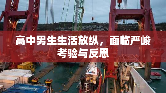 高中男生生活放纵，面临严峻考验与反思