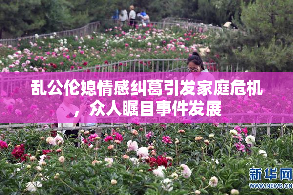 乱公伦媳情感纠葛引发家庭危机，众人瞩目事件发展