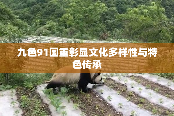 九色91国重彰显文化多样性与特色传承
